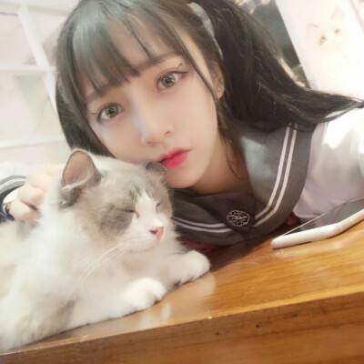 梦回仙域ol果盘版下载
